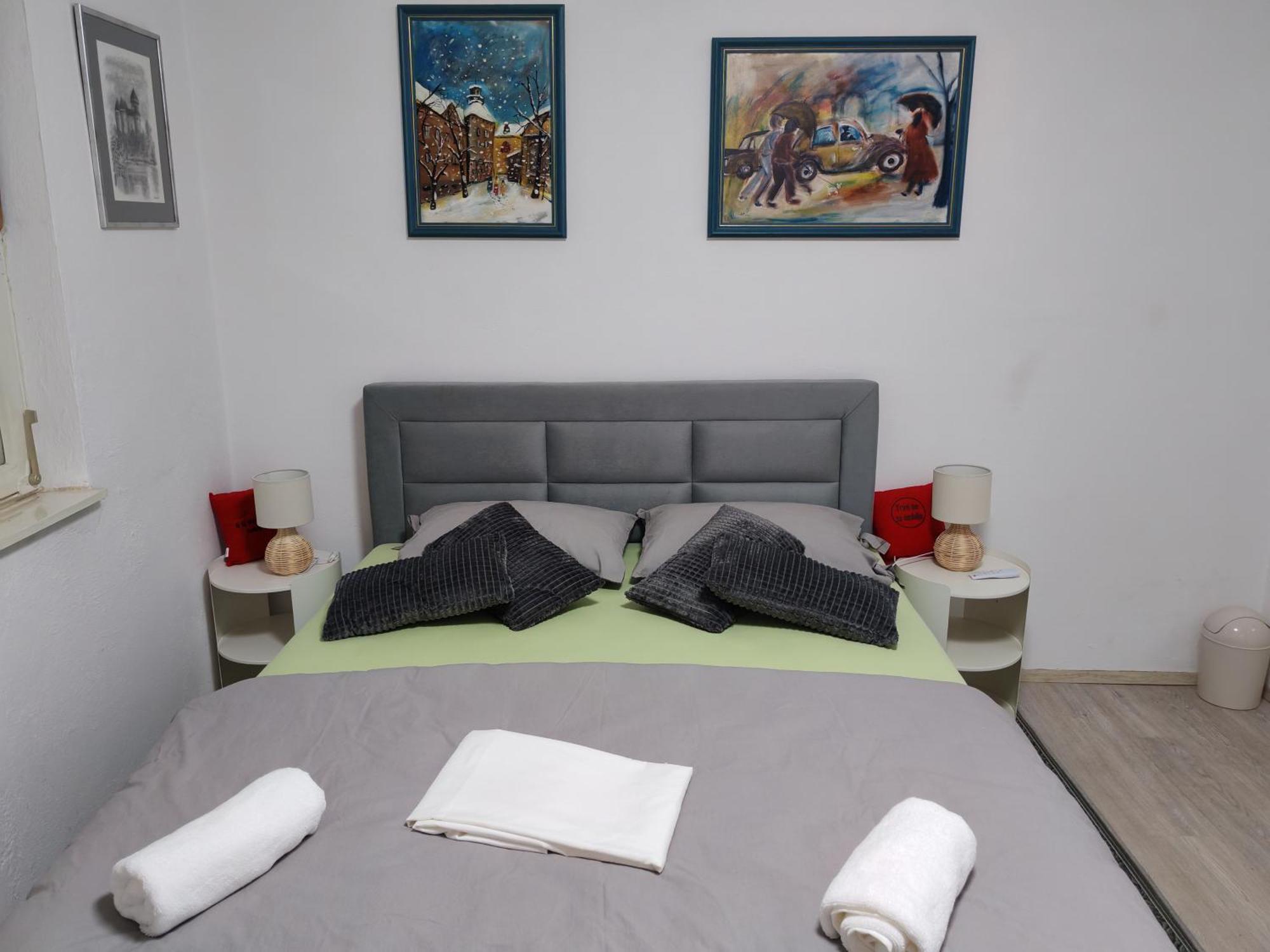 Apartman Ivana カルロヴァッツ エクステリア 写真